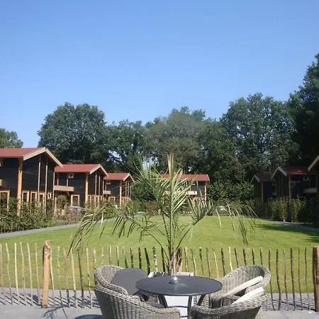 デ エイケンシンゲル *