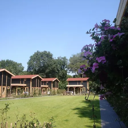 ホリデーパーク デ エイケンシンゲル *