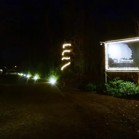 デ エイケンシンゲル