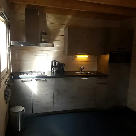 デ エイケンシンゲル