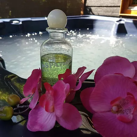 デ エイケンシンゲル Uddel