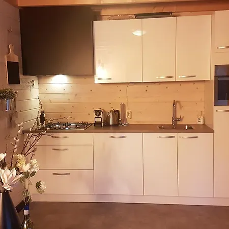 デ エイケンシンゲル *