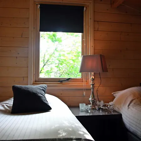 デ エイケンシンゲル *